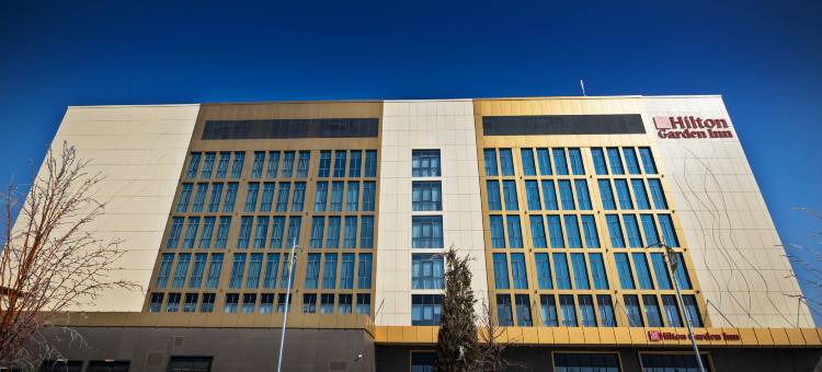 希尔顿花园酒店 - 撒马尔干阿夫罗西约布(Hilton Garden Inn Samarkand Afrosiyob)图片