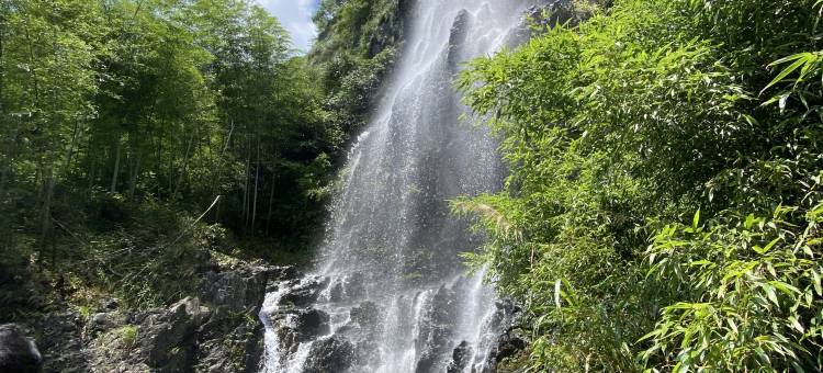 安吉小森林民宿图片
