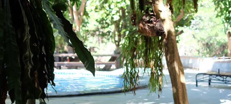 芭布萨巴酒店(Baan Busaba Hotel)图片