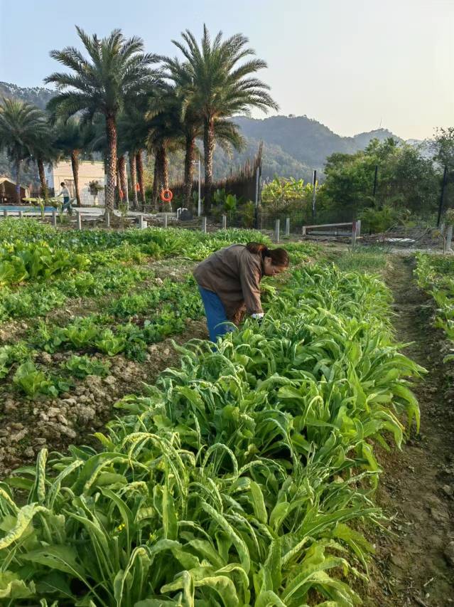 明月禾间野奢溯溪汤泉民宿图片