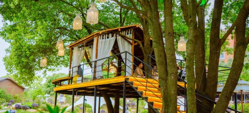 云隐小院民宿图片