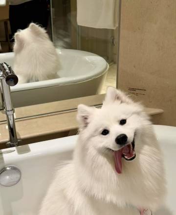 澜庭·悦酒店(长沙县松雅湖星沙地铁站店)图片