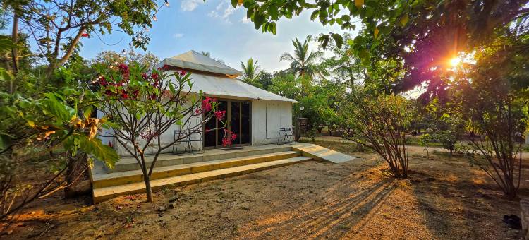 Angirasa Nature Getaways LLP图片