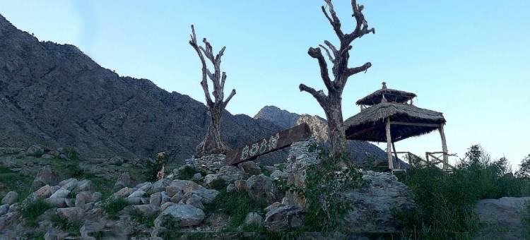 贺兰山岩画古村古树林民宿图片