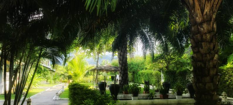 琅勃拉邦香颂酒店(Luang Prabang Chanon Hotel)图片