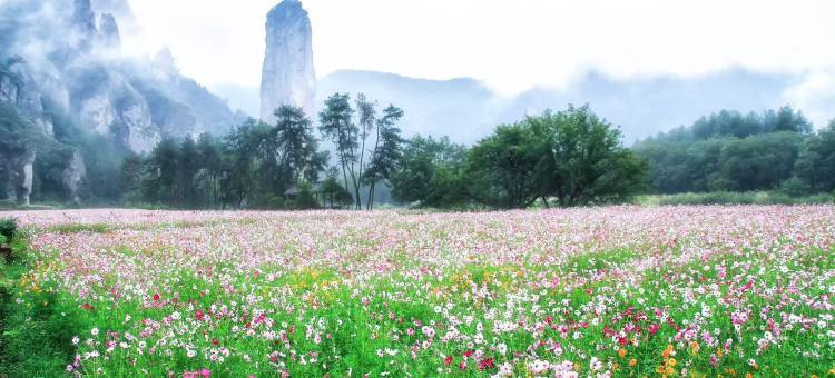 缙云仙峰度假酒店图片