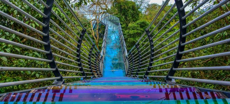 山水居森林瀑布营地(百花岭店)图片