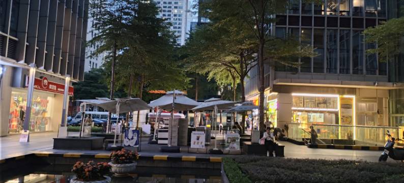 广州龙城威尔斯公寓(中山大学眼科中心五羊邨地铁站店)图片