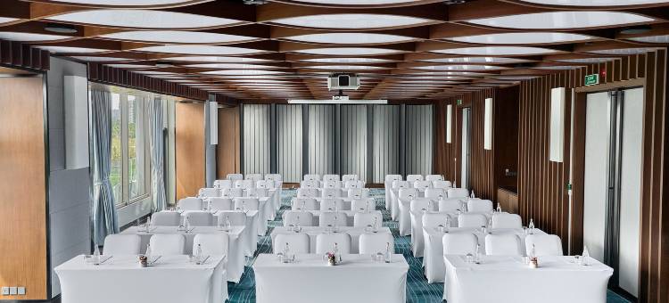 岘港希尔顿花园酒店(Hilton Garden Inn Da Nang)图片