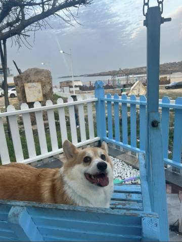 平潭岛筑·海景亲子休闲度假民宿(68海里景区店)图片