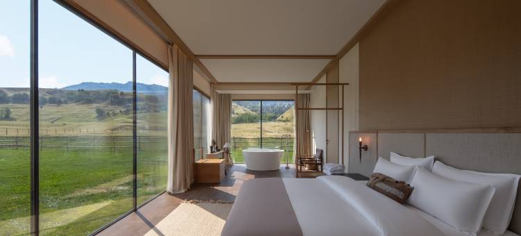 携程度假农庄(那拉提云杉隐宿联营店)图片