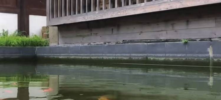 宋庭国风生活(慈城古县城店)图片