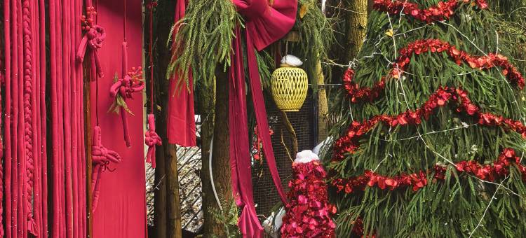 什邡十里松涧汤池民宿图片