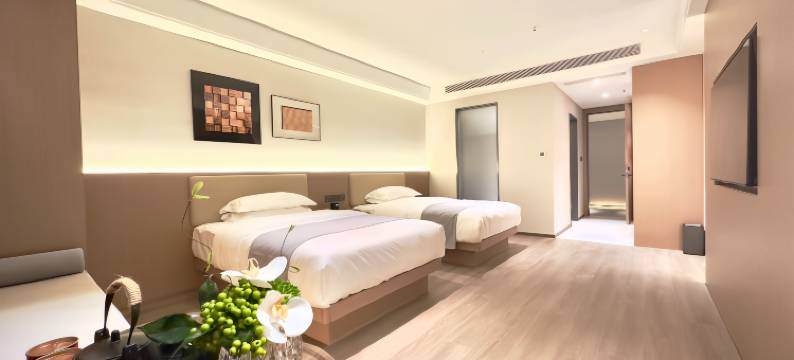 大同丽璟智享酒店(玄辰广场大同站店)图片