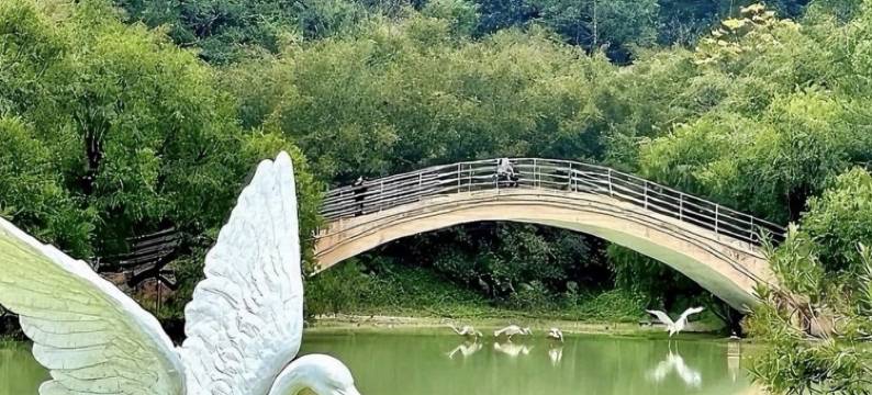 防城港锦江大酒店图片