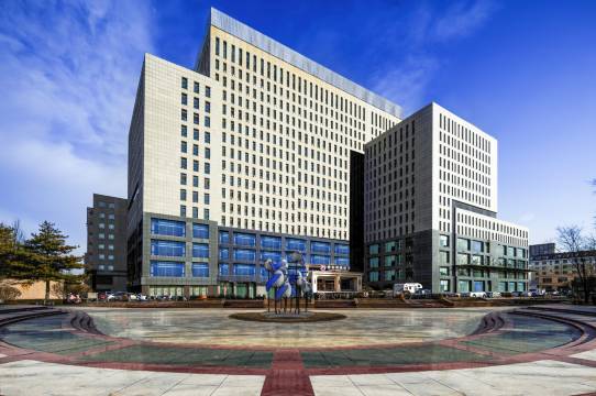 雅朵智选酒店(鄂尔多斯万达广场王府井店)图片