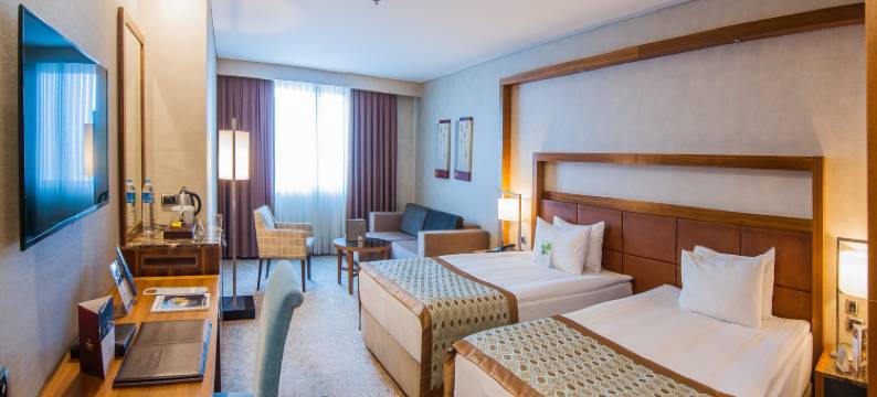 德德曼科尼亚酒店及会议中心(Dedeman Konya Hotel Convention Center)图片