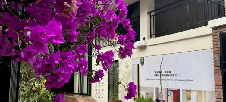 金陵4号熊猫艺术酒店(省体育馆地铁站店)图片
