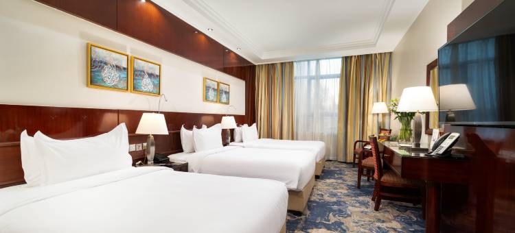 艾尔麦地那伊玛尔皇家酒店(Emaar Royal Hotel)图片