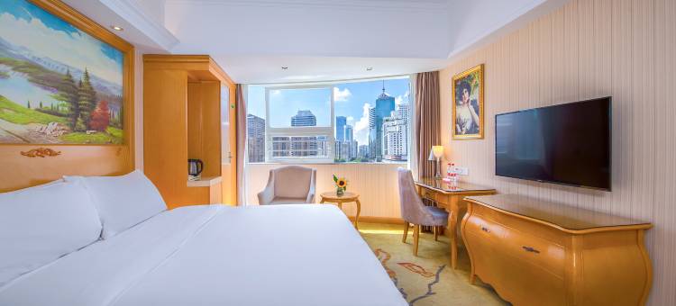 维也纳酒店(深圳罗湖口岸火车站店)图片