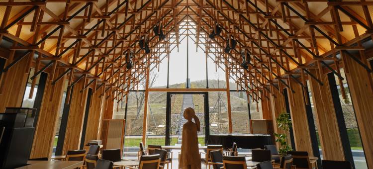 洞爷湖鹤雅度假村光之歌(Lake Toya Tsuruga Resort Hikarinouta)图片