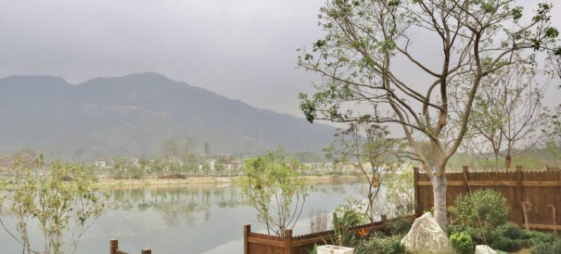 飞霞龙田归田居度假民宿图片