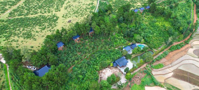 Tan Uyen Paradise图片