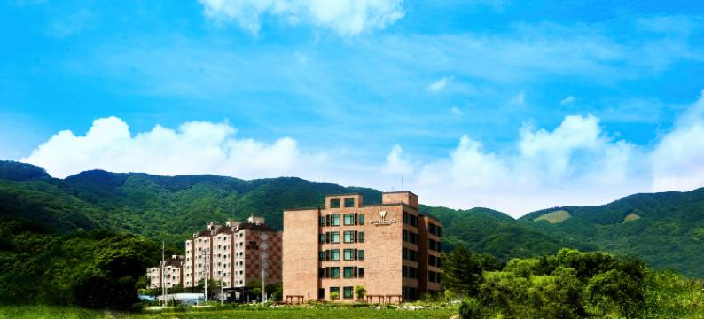 WITHLAND酒店-平昌(Withland Hotel Pyeongchang)图片
