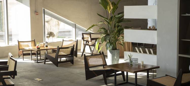 Z城市奢野酒店图片