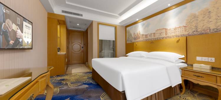 维也纳酒店(深圳南油服装城南光地铁站店)图片