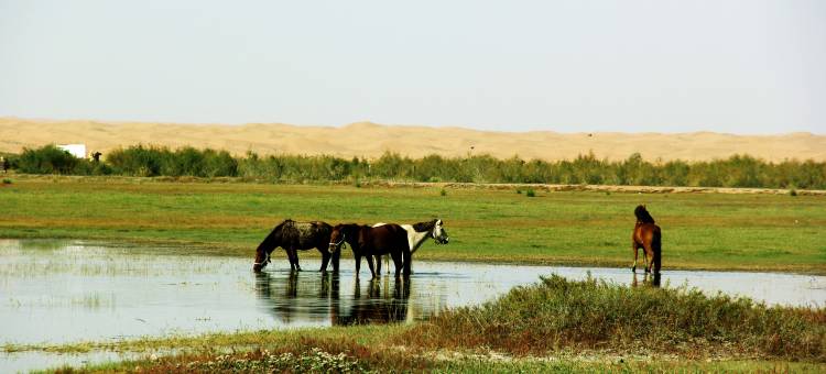 杞程酒店(中卫鼓楼店)图片