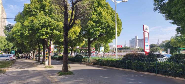 青皮树酒店(淮南舜耕西路惠利大道店)图片