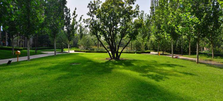 固安大湖观景民宿(大兴机场店)图片