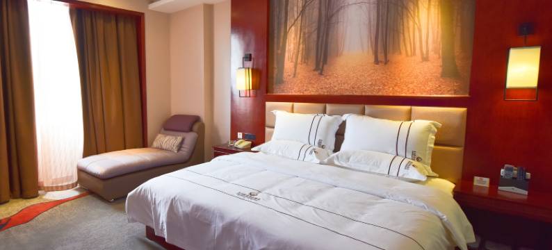 盈江东方嘉逸精品酒店图片