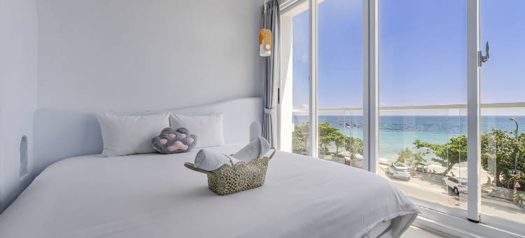 希腊遇见猫图片