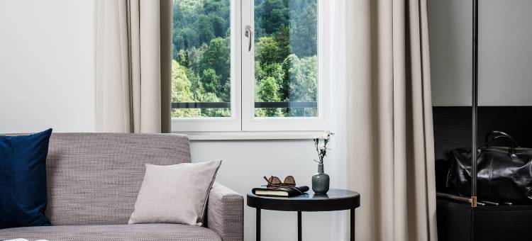 亚美隆新天鹅堡阿尔卑斯水疗度假村(Ameron Neuschwanstein Alpsee Resort & Spa)图片