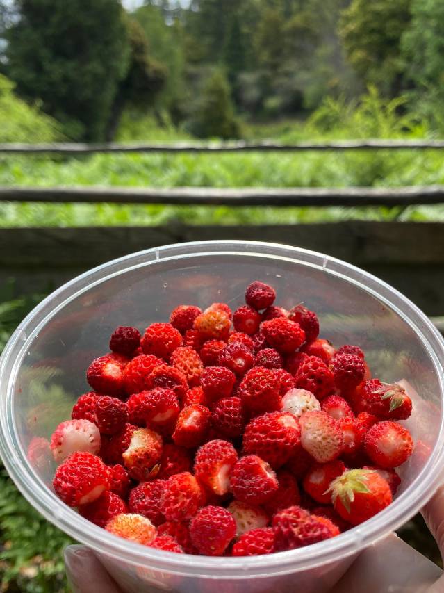 朗秋泊岸山居图片