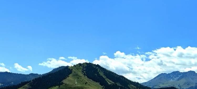 嘉昂民宿(昭苏夏塔景区店)图片