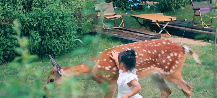 莫干山花莳民宿图片