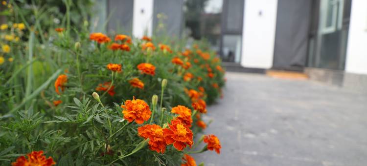 北京觅静拾光民宿图片