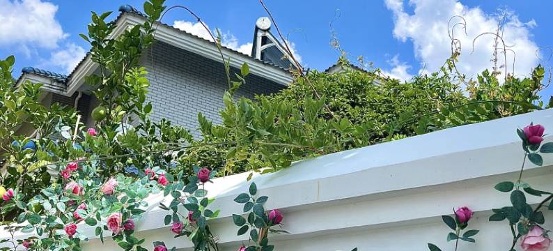 青溪庭Barga自然美学·独栋庭院设计师酒店(三宝国际陶艺村店)图片