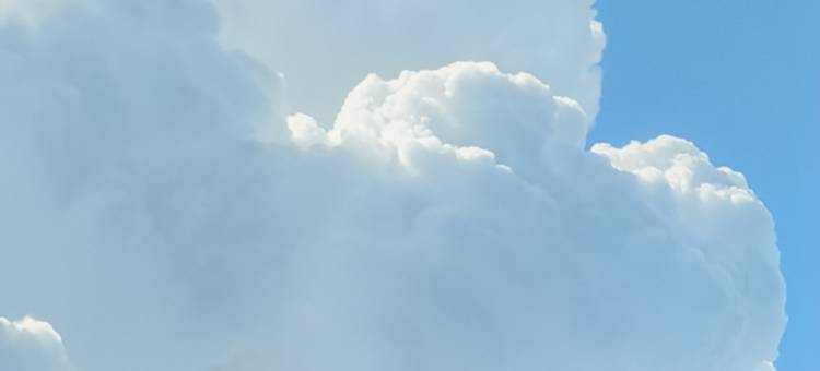 维也纳酒店(中山三角店)图片