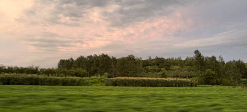 慈口观·泉语山居温泉民宿图片