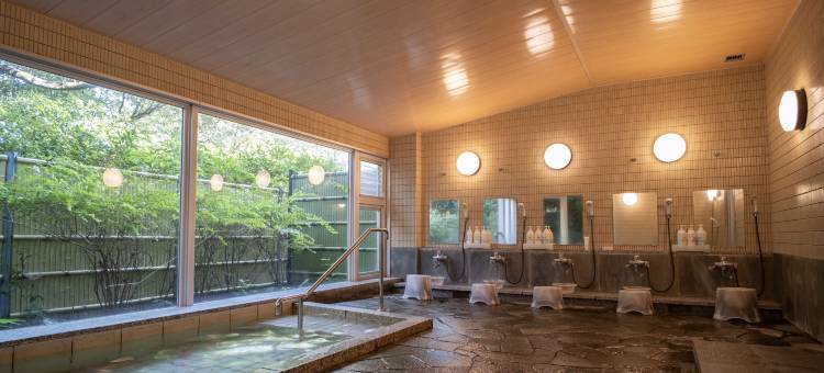 伊豆高原天然温泉旅馆 艺家(arts-inn)图片