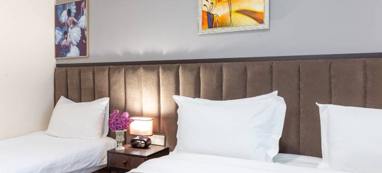 艾莉亚老第比利斯酒店(Elea Old Tbilisi Hotel)图片