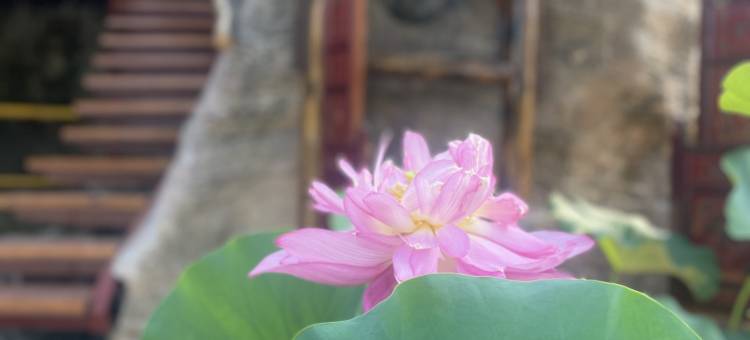 汀禾庄园图片