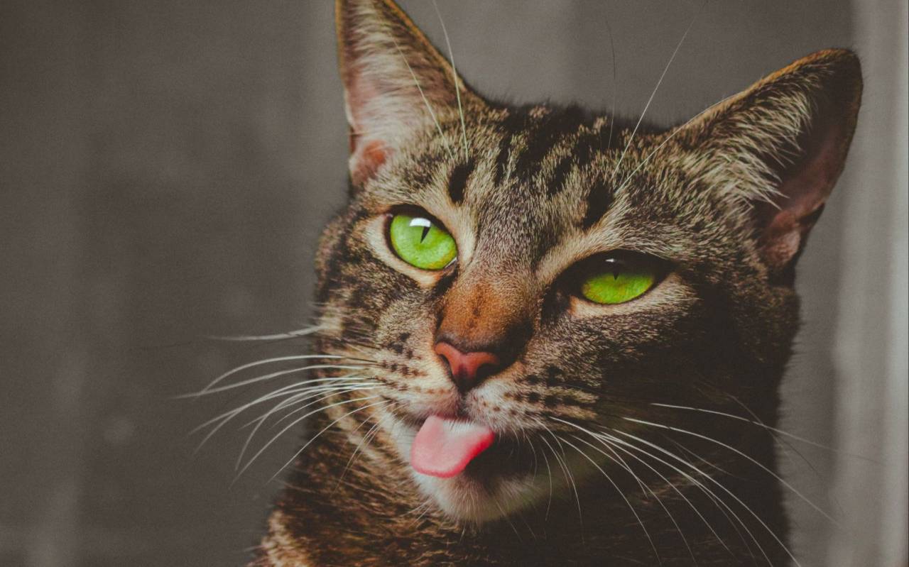 宏村溪云映月·度假精选智能高端设计师民宿图片