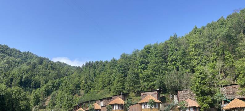 印象古占盘王生态园图片