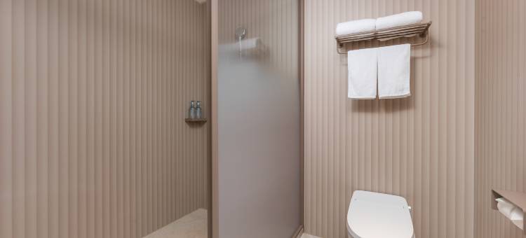 汉庭酒店(六安城南镇政府店)图片