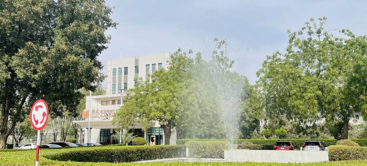 阳光恩贾梅纳大酒店(Soluxe Hotel)图片